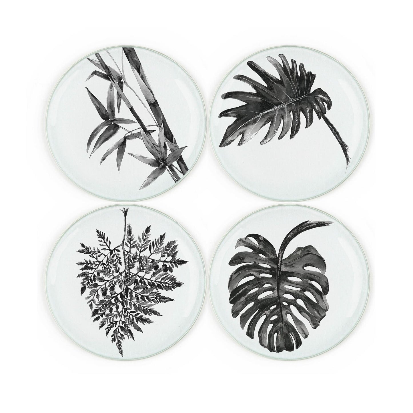 Set of four round tempered glass coasters featuring ink drawn leaf designs