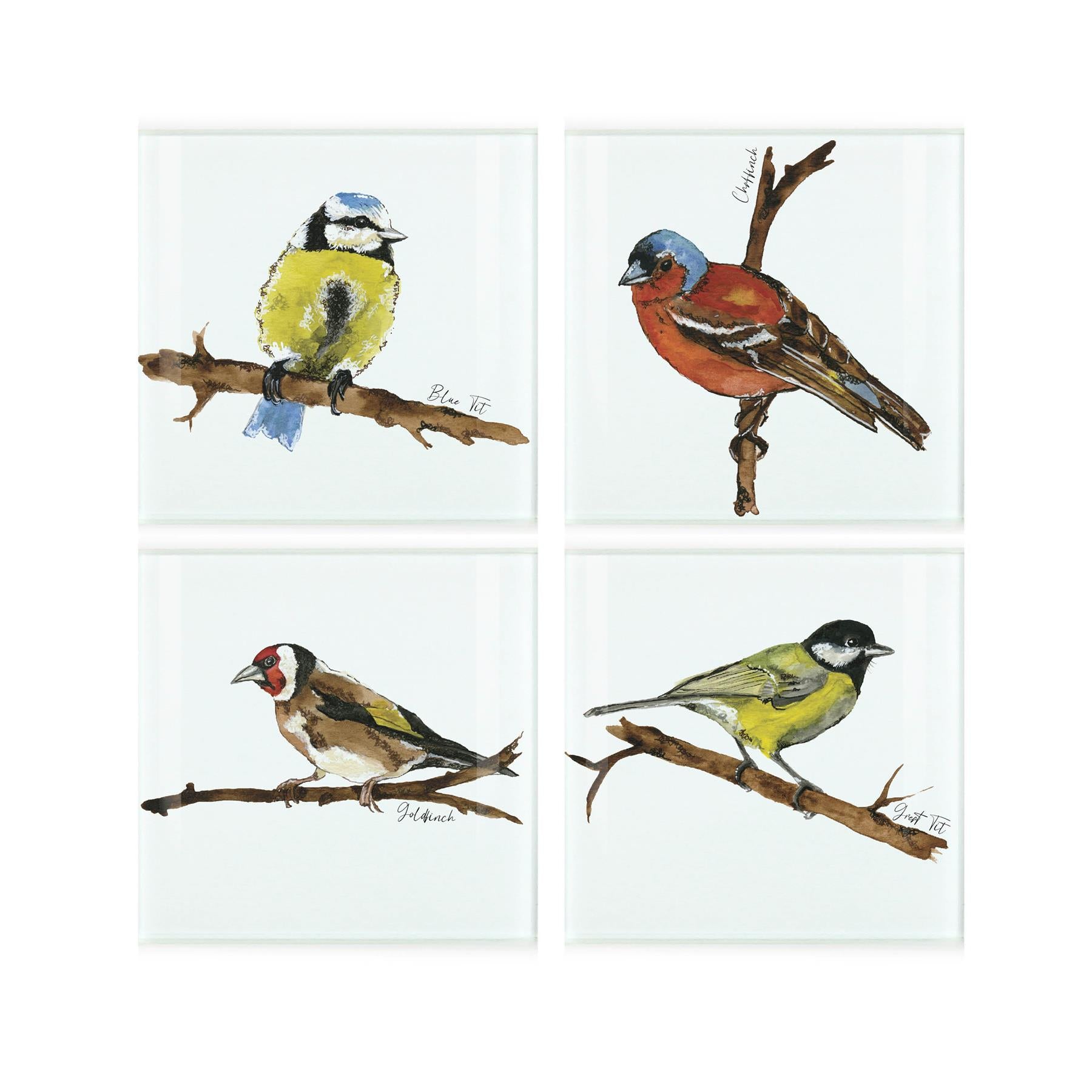 Four tempered glass coasters, featuring watercolour depictions of a blue tit chaffinch goldfinch and great tit