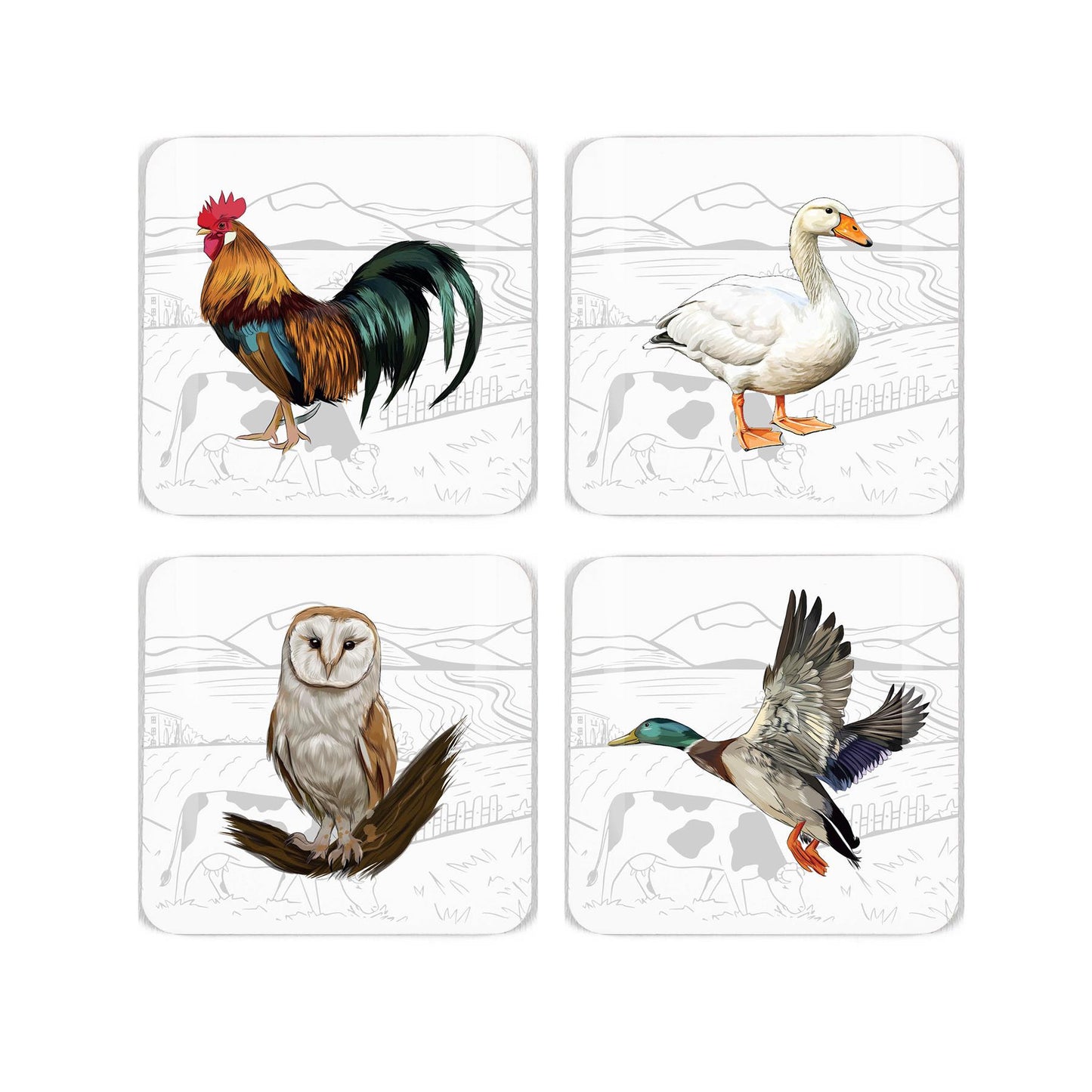 Coaster set featuring depictions of four farmyard birds chickens ducks and owls on muted grey farmyard background