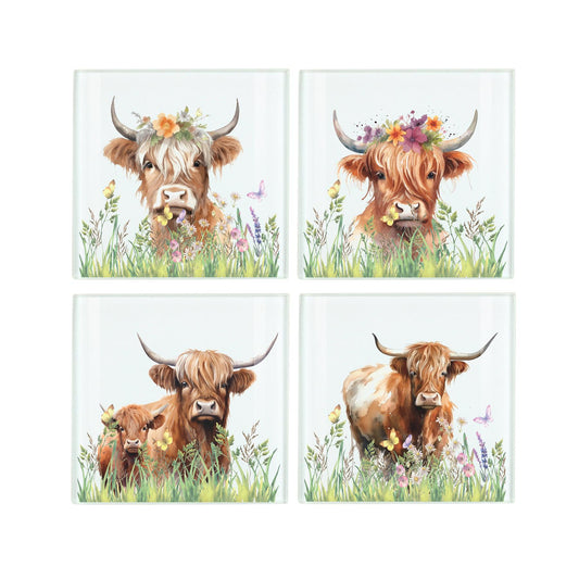 Set of four tempered glass coasters featuring assorted highland cow in field designs 