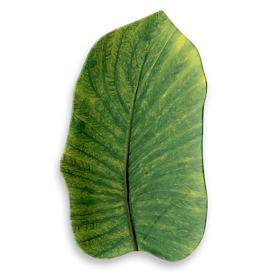 Green leaf shaped melamine platter